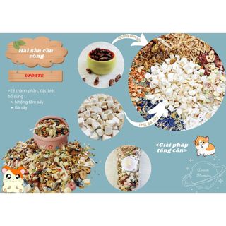 [Đã rang sấy] Thức ăn Mix Hải sản cầu vồng cho hamster(hải sản+chà bông thịt gà+nhộng) - Rainbow Seafood (DR3)