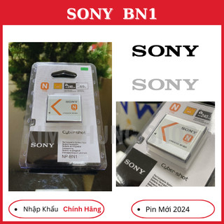 Pin lithium sony np-bn1