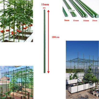 Ống thép bọc nhựa dùng làm cây đỡ hoa hồng, làm giàn cỡ 11mm dài 180cm
