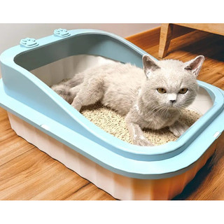 (size to)Khay đựng cát vệ sinh cho mèo tặng kèm 1 xẻng xúc cát mèo