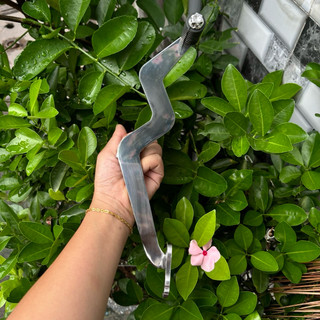 Cần số xe Dream/Wave inox304