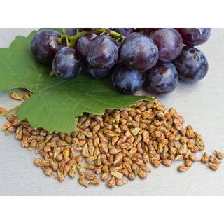 Dầu hạt nho nguyên chất(Grapeseed Oil)