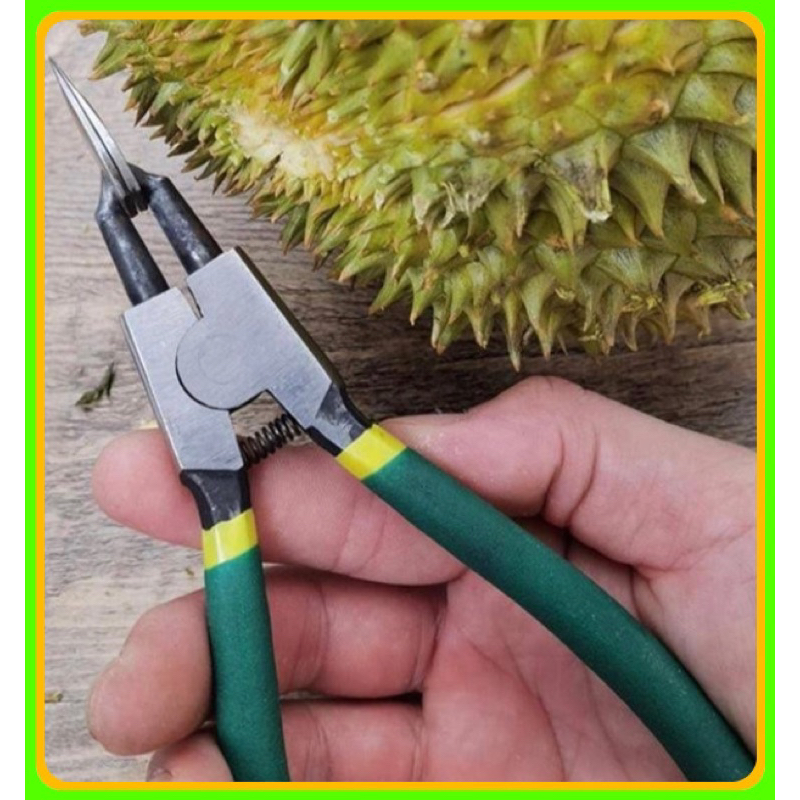 KÌM KHUI SẦU RIÊNG