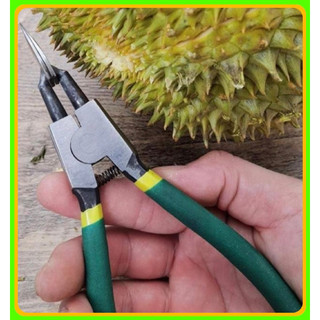 Kìm khui sầu riêng