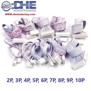 Dây bus trắng 2 đầu 2p-10p - dài 30cm