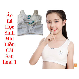 Áo lót nữ, áo lá học sinh cotton trơn mút liền thông hơi cài sau 3 móc 1387