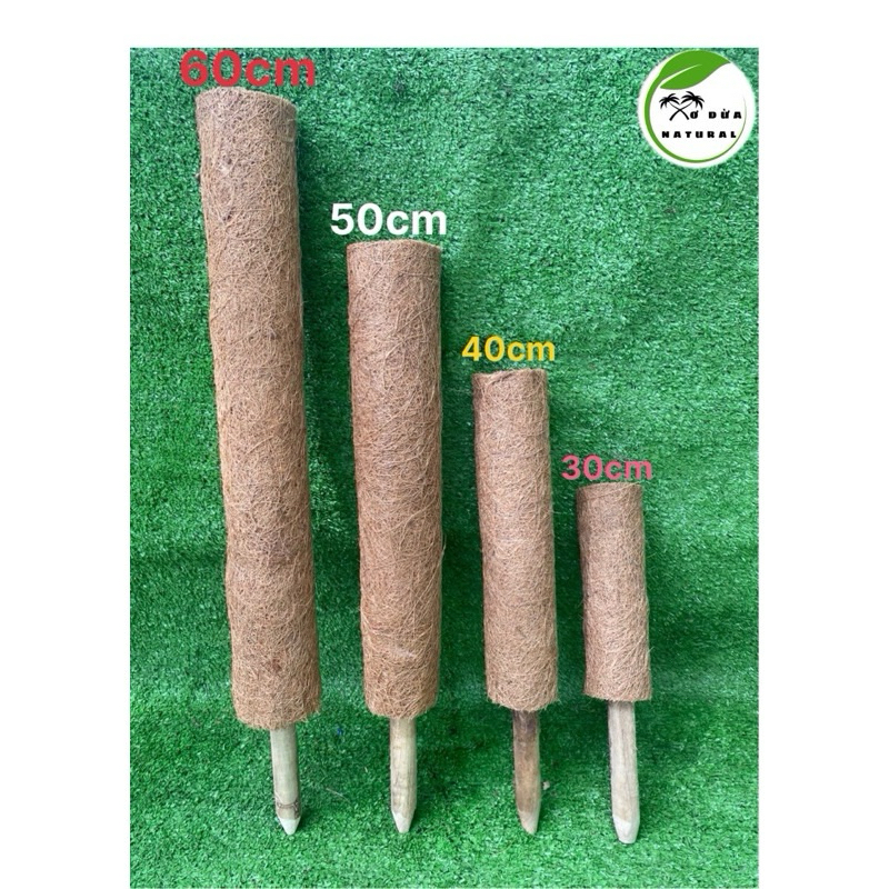Trụ xơ dừa {cọc xơ dừa, trụ cột xơ dừa} Hàng lỗi nhẹ