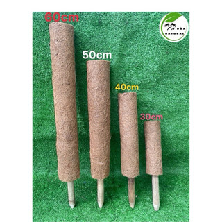 Trụ xơ dừa Hàng lỗi nhẹ