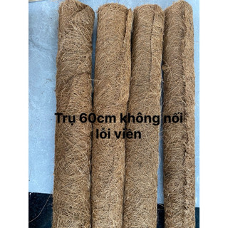 Trụ xơ dừa {cọc xơ dừa, trụ cột xơ dừa} Hàng lỗi nhẹ