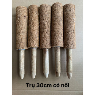 Trụ xơ dừa {cọc xơ dừa, trụ cột xơ dừa} Hàng lỗi nhẹ