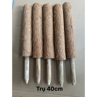 Trụ xơ dừa {cọc xơ dừa, trụ cột xơ dừa} Hàng lỗi nhẹ
