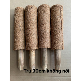 Trụ xơ dừa {cọc xơ dừa, trụ cột xơ dừa} Hàng lỗi nhẹ