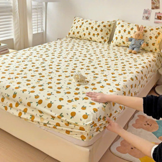 ga gối 3 món Ga gối cotton đũi sơ đậu nành đầy đủ kích thước 1m6,1m8