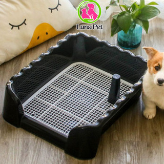 Khay vệ sinh thành cao cho chó tặng kèm cột LunaPet KC01, khay hướng dẫn chó đi vệ sinh đúng cách