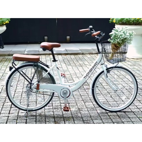 Xe đạp Thống Nhất LD 24 – 01