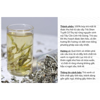 Lục trà Shan Tuyết 1 tôm 1 lá | Trà rừng nguyên sinh | Trà thải độc gan, phổi | HUỲNH GIA TEA