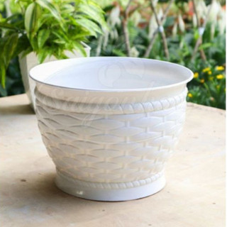 Chậu nhựa trồng sen đá, xương rồng Kiểu Dáng Đan Lục Bình Loại Mini - Có Bán Đất Trồng Sen Đá - Bộ dụng cụ sen đá mini