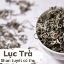 Lục trà Shan Tuyết 1 tôm 1 lá | Trà rừng nguyên sinh | Trà thải độc gan, phổi | HUỲNH GIA TEA