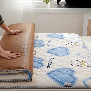 Nệm Chiếu Mát Gia Dụng Đệm Chiếu Mềm Đơn Dùng Cho Ký Túc Xá Sinh Viên Mùa Đông Và Mùa Hè Dày Dặn