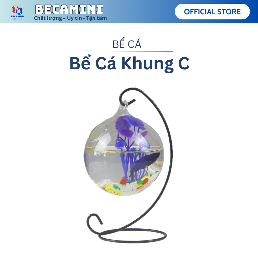 Bể cá mini để bàn treo chữ C