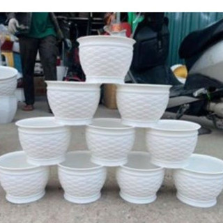 Chậu nhựa Mini Kiểu Đan Lục Bình trồng sen đá, xương rồng, Cây kiểng lá nhỏ