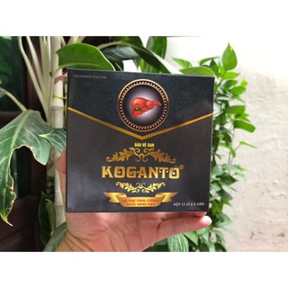 Koganto hộp 60 viên Hỗ trợ bảo vệ các tế bào gan, tăng cường chức năng gan Mỹ Phẩm Shop