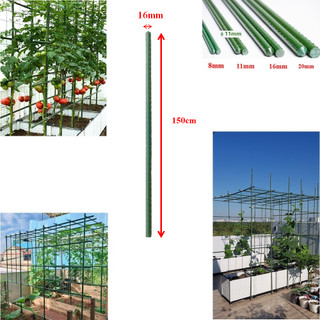 Ống thép bọc nhựa dùng làm cây đỡ hoa hồng, làm giàn cỡ 16mm x 150cm, 120cm, 90cm,75cm, 60cm