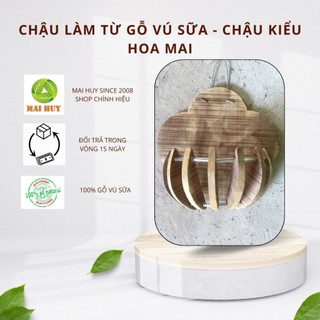 Chậu làm từ gỗ vú sữa - chậu kiểu hoa mai