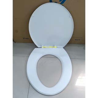 Nắp Bồn Cầu, Nắp Bồn Cầu Màu Trắng