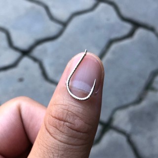 Lưỡi Vảy Rồng siêu nhẹ, câu trắm cỏ, chép lợn