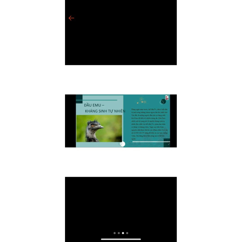 Kem EMU chải thông kinh lạc thải độc Não bộ hũ 500g (Kem chính hãng)100%chất lượng