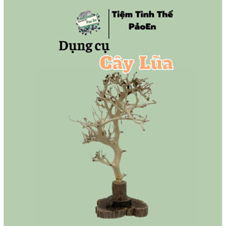 [CÂY LŨA] Cây gỗ dùng để cấy tinh thể