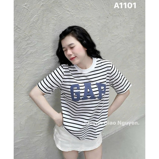Áo phông chữ gap 3 màu