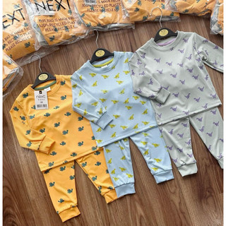 SET 3 BỘ TĂM KHỦNG LONG BÉ TRAI