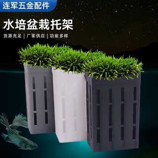 Cốc trồng cây thủy sinh gắn thành bể, giỏ trồng cây thủy sinh trang trí bể cá