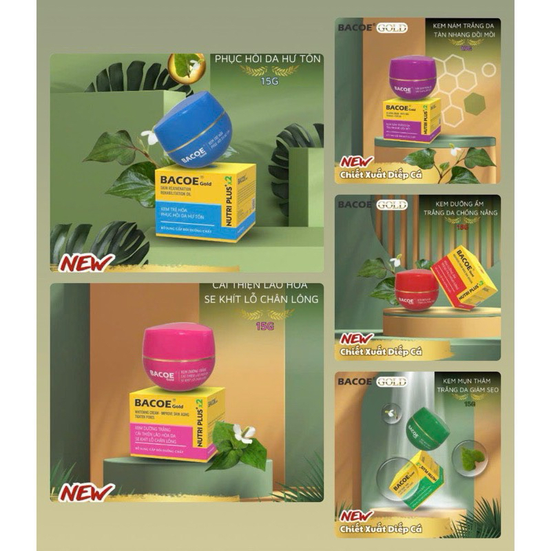 KEM BACOE CHIẾT XUẤT TỪ RAU DIẾP CÁ 15G