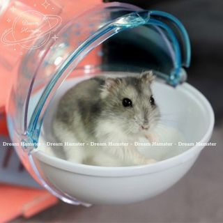 Nhà tắm gắn lồng