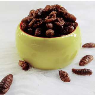 Nhộng tằm sấy cho Hamster (20gr)