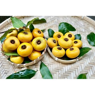Thị sáp Hà Nội (quả nhỏ mini). Quả thị thơm (giá 10 quả)