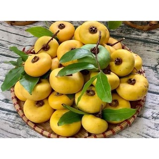 Thị sáp Hà Nội (quả nhỏ mini). Quả thị thơm (giá 10 quả)
