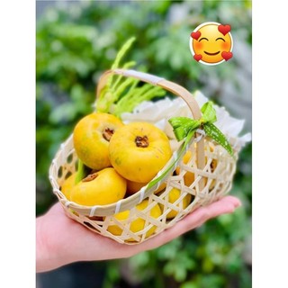 Thị sáp Hà Nội (quả nhỏ mini). Quả thị thơm (giá 10 quả)