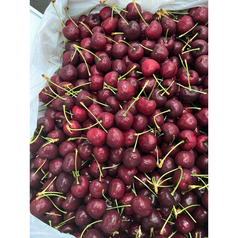 chery mỹ giòn ngọt cứng quả tươi rói 340k/kg nưa cân 180k/0,5kg