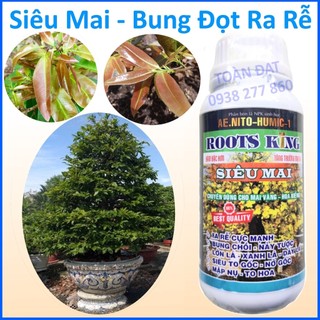 Phân Bón Max Root, Bung Đọt Ra Rễ Mai Vàng (500ml), Siêu Mai chuyên dùng cho mai vàng
