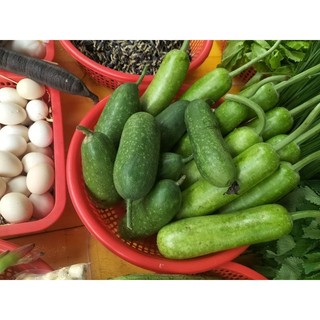 Trái bầu, bí 500g
