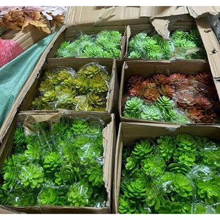 cành hoa sen đá loại 1( hoa giả)