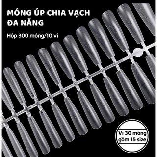 móng úp chia vạch, móng úp tay nhám 240 móng