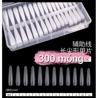 móng úp chia vạch, móng úp nhám sẵn 240 móng