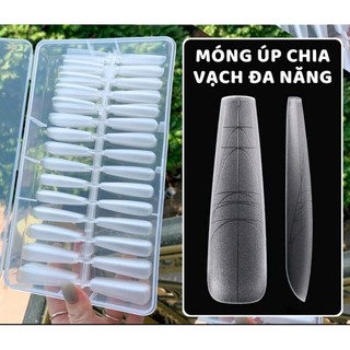 Móng úp chia vạch, móng úp tay nhám 240 móng