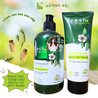 Dầu gội và dầu xả tràm trà Fresh giảm gãy rụng tóc, sạch nhờn