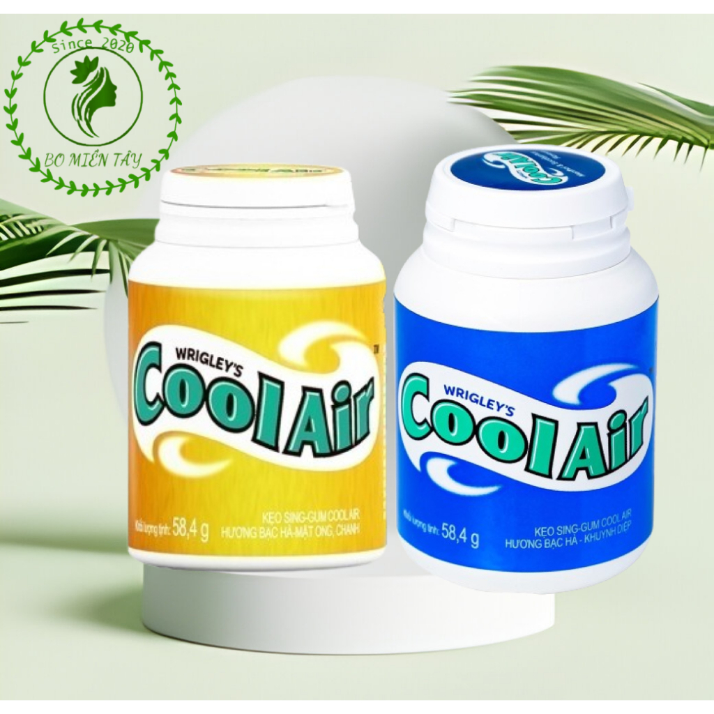 KẸO SINGUM COOLAIR 58.4G.